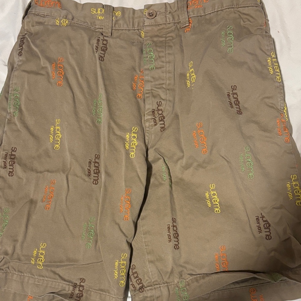 Supreme Multicolor Logo Cargo Shorts